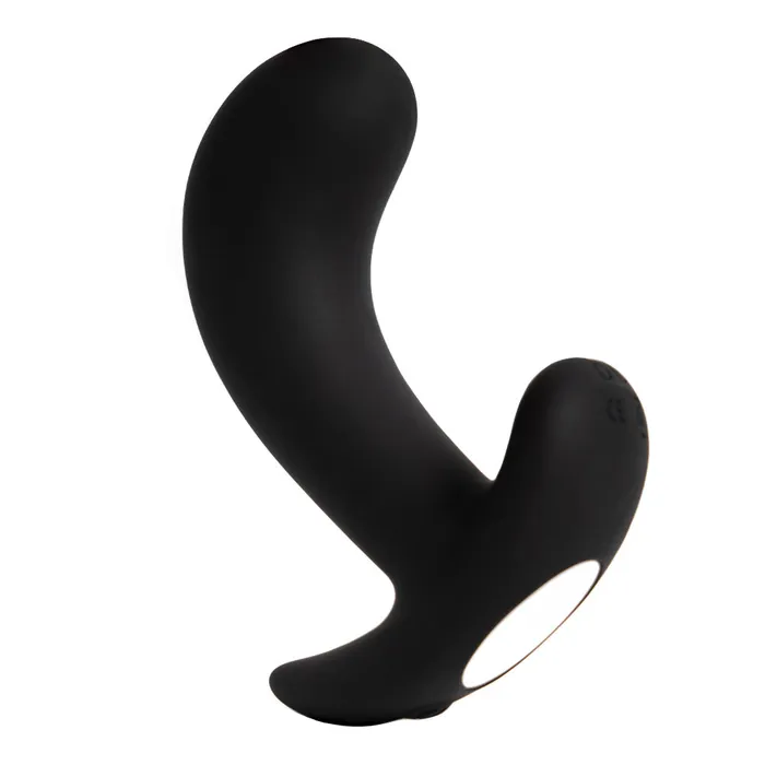 Sexyland Male Sex Toys Sexyland Bullseye Remote Control Vibrating Prostate Massager