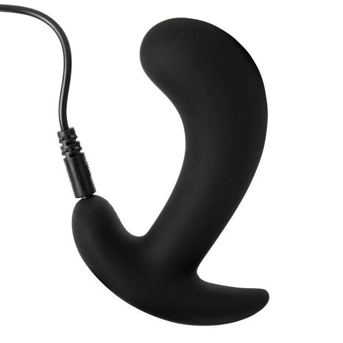Sexyland Male Sex Toys Sexyland Bullseye Remote Control Vibrating Prostate Massager